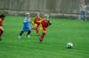 _dsc7939_small.jpg