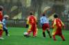 _dsc7966_small.jpg