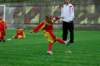 _dsc8038_small.jpg