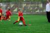 _dsc8059_small.jpg
