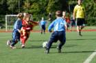 _dsc8316_small.jpg