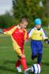 _dsc9264_small.jpg