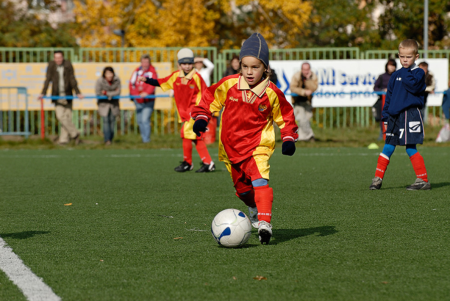 _dsc9650.jpg