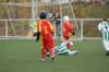 _dsc0104_small.jpg