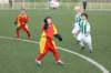 _dsc0130_small.jpg