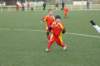 _dsc0133_small.jpg