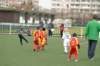 _dsc0147_small.jpg