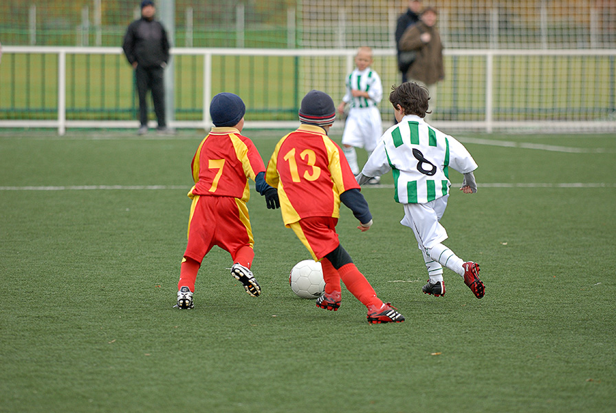 _dsc0173.jpg