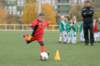 _dsc0229_small.jpg