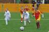 dsc_6196_small.jpg